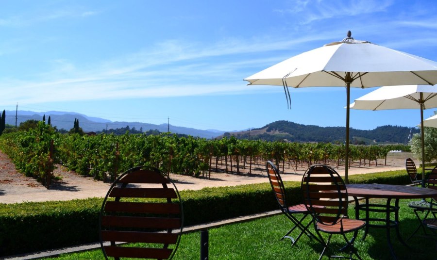 Insider’s Guide to Napa Valley Wine Scene: Tips for an Unforgettable Experience