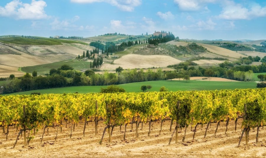 Planning Your Trip: The Ultimate Guide to Napa Valley's Seasons