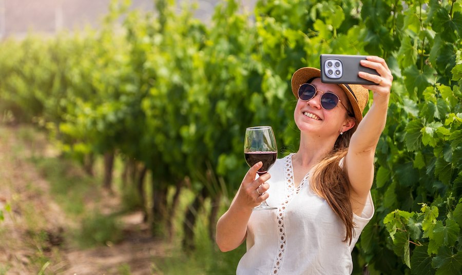 solo traveler in vineyard