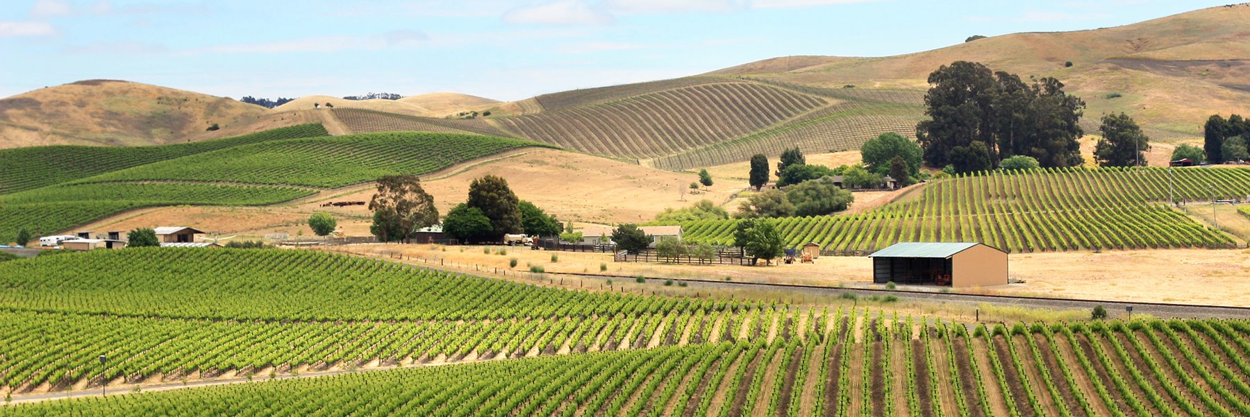 Nearby Wineries